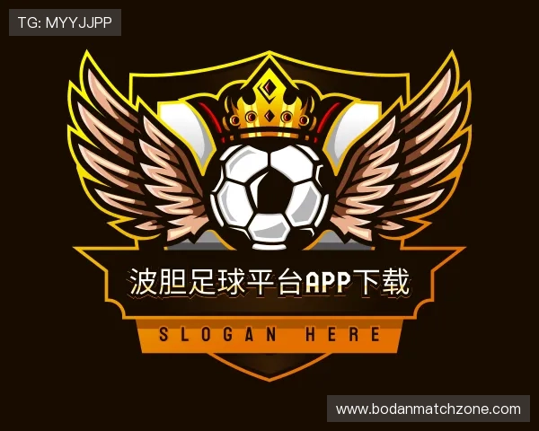 发现波胆足球